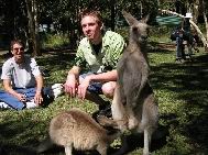 aussie_zoo33.jpg