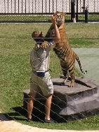 aussie_zoo43.jpg