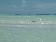 whitsundays25.jpg